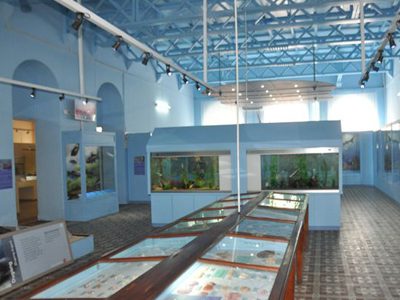 Marine Gallery